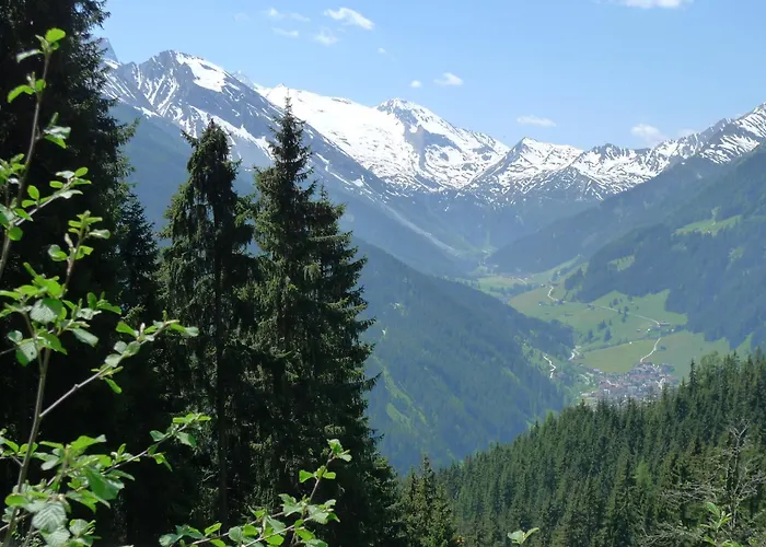 Single Martlerhof Apartment Tux