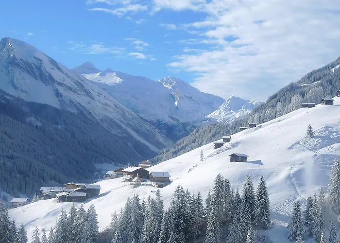 Single Martlerhof 公寓